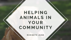 Maribeth Jezek Animals Community